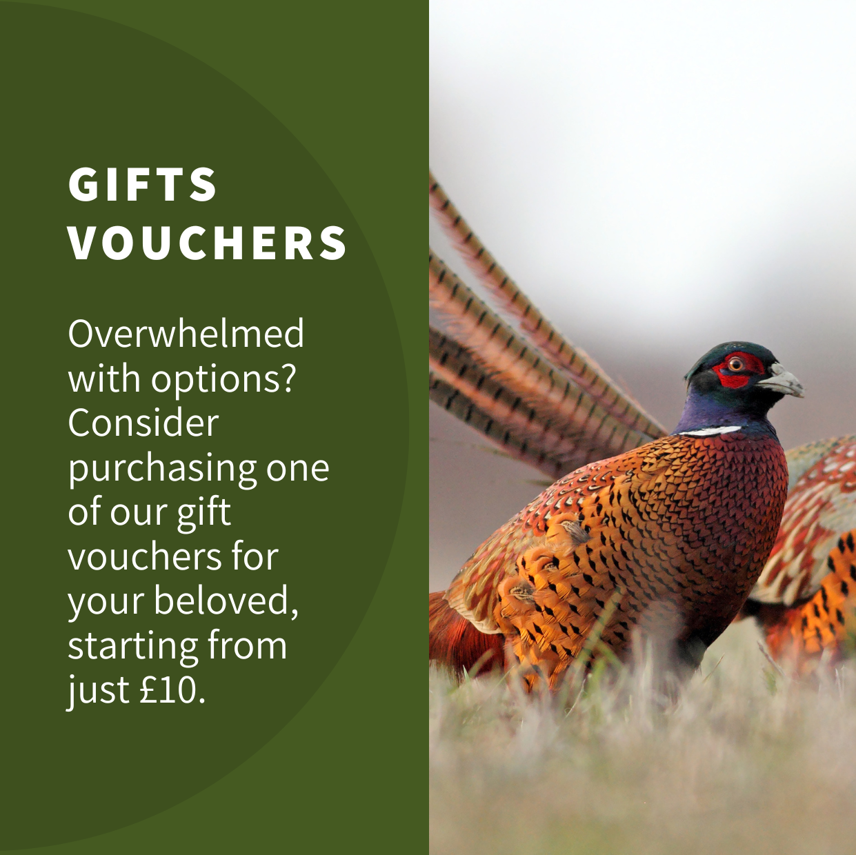 Gift Vouchers
