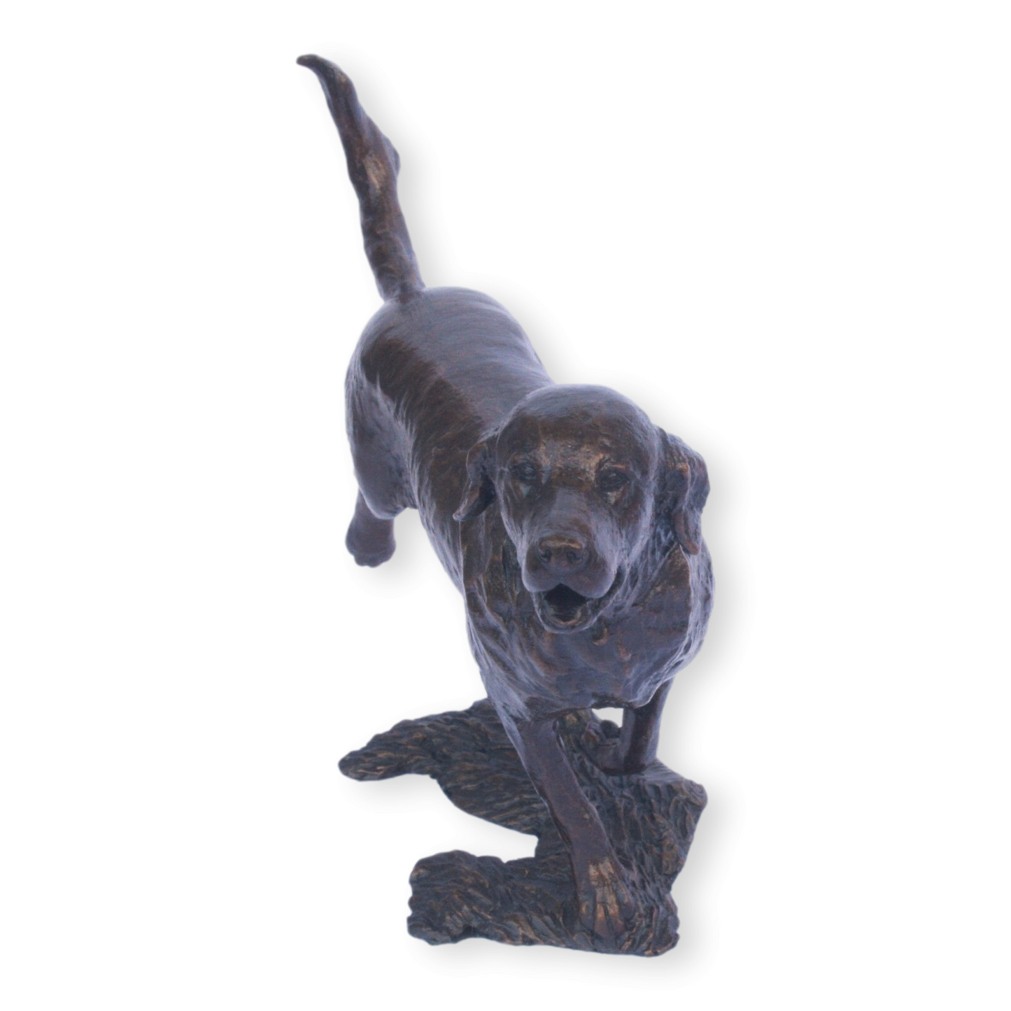 "Golden Retriever" Gundog Limited Edition Solid Bronze (1023)