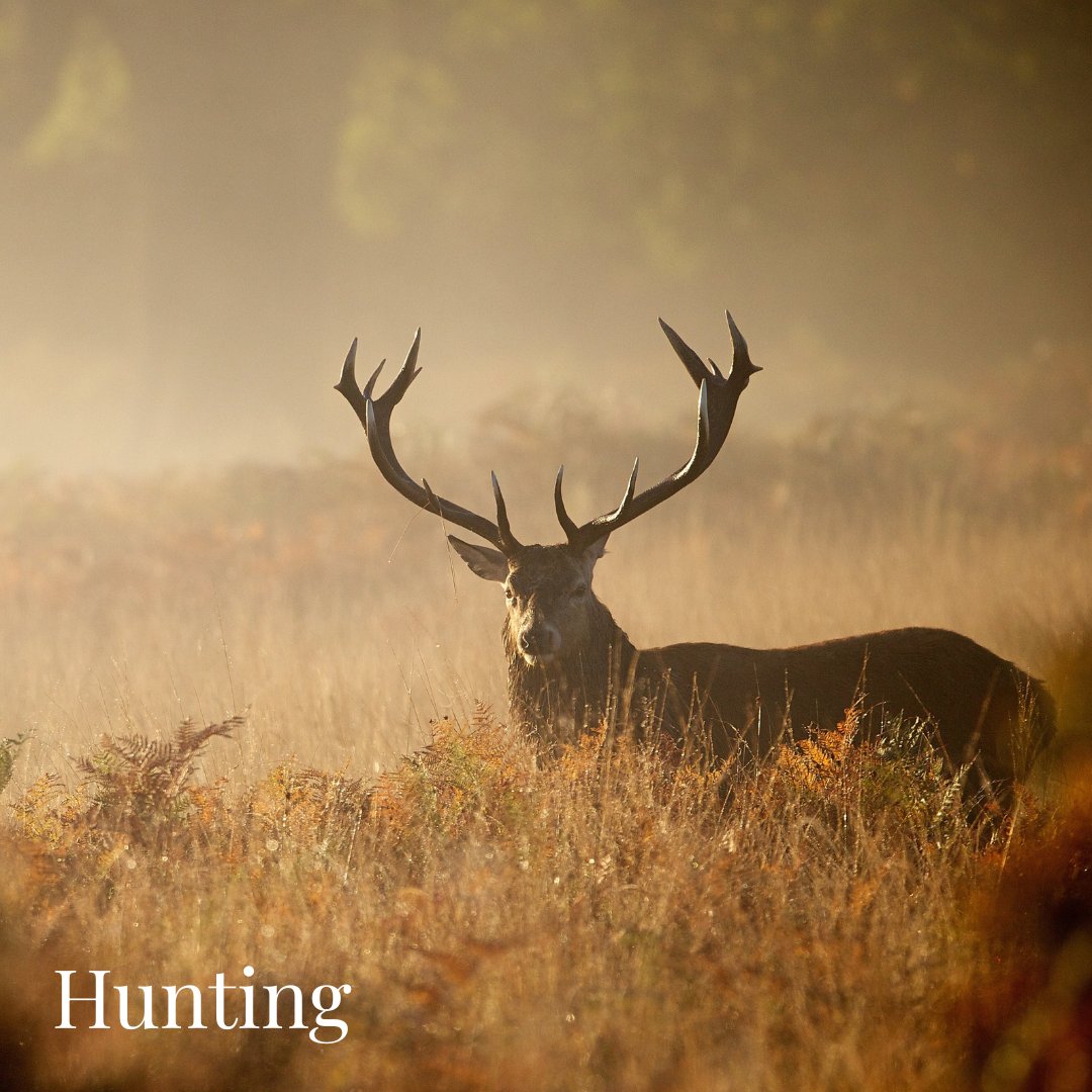 Hunting Gifts