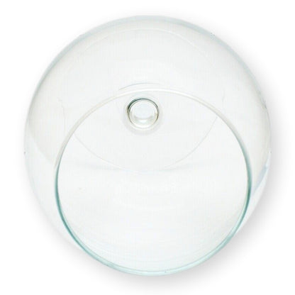 Gundog Brandy Glass Rim