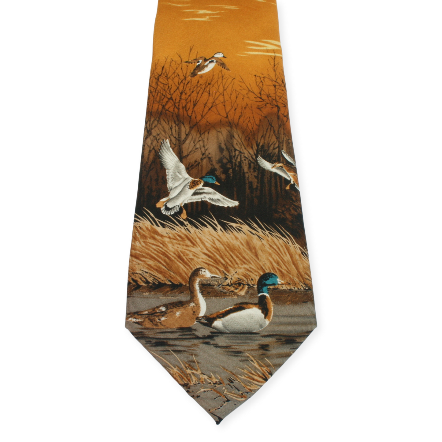 Mallard Duck Swimming On Sunset Shooting Tie