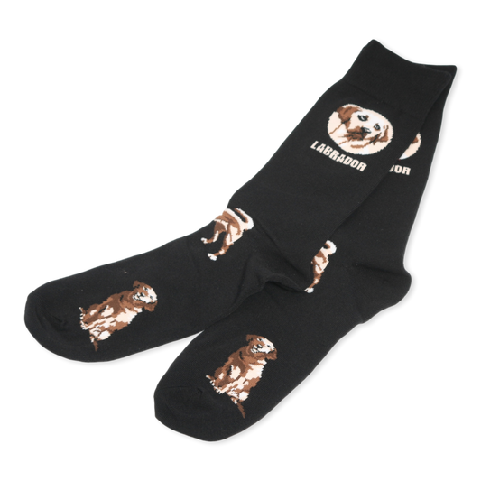 Labrador Dog Cotton Socks in Black – Unisex Sizes 6-11