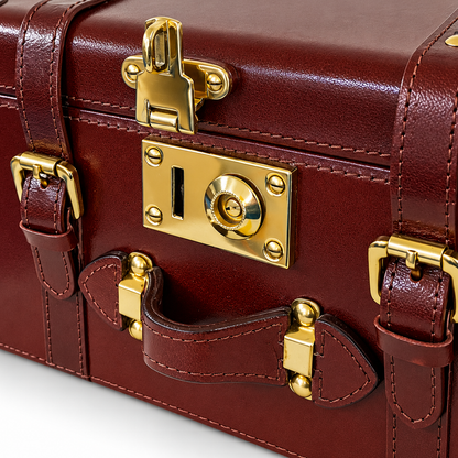 A close-up of a dark reddish-brown leather travel trunk or briefcase with ornate gold-tone metal hardware, including a lock, clasp, and handles.