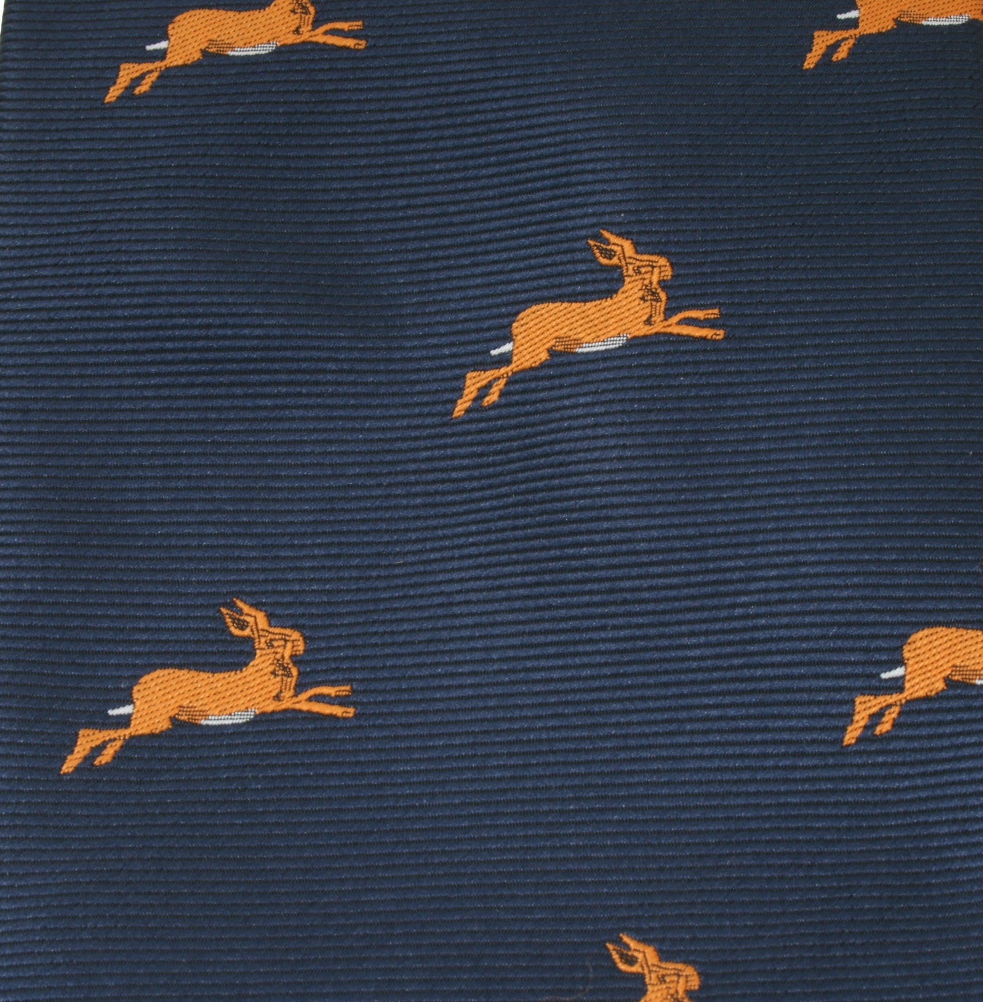 hare shooting tie close up