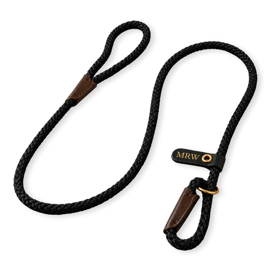 Personalised Dog Lead Braided Rope Slip Lead